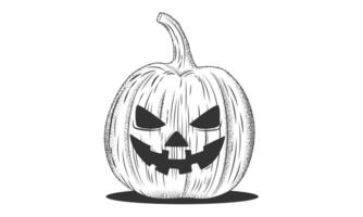 bläck skiss av pumpa halloween isolerat på vit bakgrund.pumpa med arg ansikte i gravyr style.jack-o-lantern i årgång retro träsnitt etsning stil. illustration eps 10 redigerbar stroke vektor