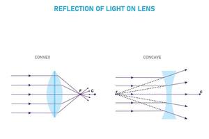 Licht Brechung, konvex undkonkav Linsen vektor