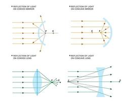 konkav Spiegel konvergieren Licht, wo wie konvex Spiegel divergieren Licht vektor