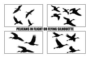 Pelikane fliegend Silhouetten, Herde von Vögel fliegend Silhouetten von Pelikanen fliegend vektor