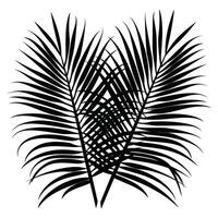 Silhouette von tropisch Palme Blätter auf Weiß Hintergrund vektor