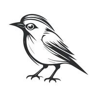 söt fågel svart och vit tecknad serie karaktär design samling. vit bakgrund, djur. vektor