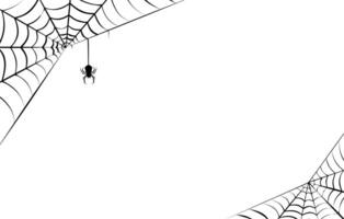 Spinne Netz schwarz Farbe auf Weiß Hintergrund zum Halloween vektor