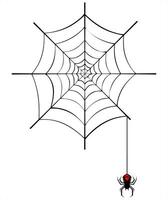 unheimlich Spinne und Netz vektor