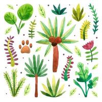 regnskogsdjungler tropisk växt träd palmbuske örter blomma monstera akvarell handritad illustration vektor