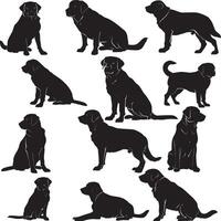 Labrador-Retriever-Silhouette vektor