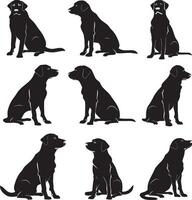 Labrador-Retriever-Silhouette vektor