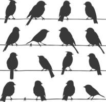 silhuett fåglar på tråd svart Färg endast vektor