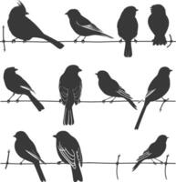 Silhouette Vögel auf Draht schwarz Farbe nur vektor