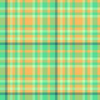 Textur Plaid Textil- von nahtlos Stoff Tartan mit ein Hintergrund prüfen Muster. vektor