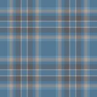 Plaid nahtlos Muster im Blau. prüfen Stoff Textur. Textil- drucken. vektor