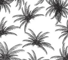 palm siluett på vit bakgrund. vektor illustration