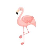 rosa flamingo illustration isolerat på vit bakgrund. vektor