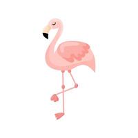 Rosa Flamingo Illustration isoliert auf Weiß Hintergrund. vektor