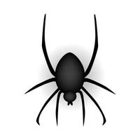 realistisk spindel på vit bakgrund. vektor illustration