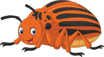 Karikatur Colorado Käfer auf Weiß Hintergrund vektor