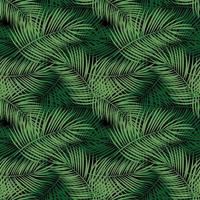palmblad vektor sömlösa mönster bakgrund illustration