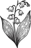lilja av de dal blomma teckning illustration. svart och vit tatuering med lilja av de dal, linje konst på vit bakgrunder, stock översikt lilja dal blomma, fräsch lilja av de vally blomma dra vektor