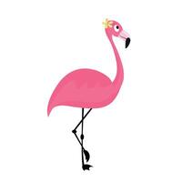 Karikatur Rosa Flamingo Vogel. Sommer- Tier süß Zoo Charakter isoliert auf Weiß Hintergrund. exotisch Fauna Illustration. vektor