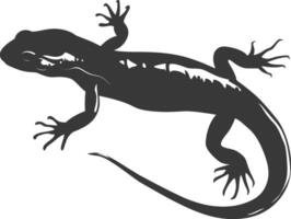 Silhouette Salamander Tier schwarz Farbe nur vektor