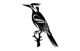 Specht schwarz Silhouette Clip Art, ein Flammenrückseite Specht Vogel Silhouette vektor