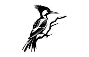 Flammenrückseite Specht Vogel Silhouette, ein Specht schwarz Clip Art vektor