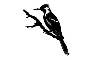 Flammenrückseite Specht Vogel Silhouette, ein Specht schwarz Clip Art vektor