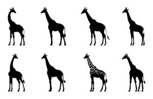 Giraffe Silhouetten Clip Kunst Satz, Giraffe schwarz Silhouette bündeln vektor