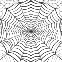 Spindel webb svart Färg endast vektor