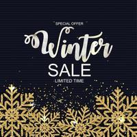 Winter Sale Hintergrund Sonderangebot Banner Hintergrund für Geschäft und Werbung. Vektor-Illustration. vektor