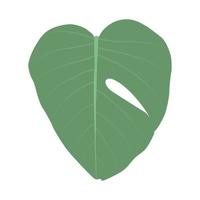 bunte naturalistische grüne Blätter auf dem Ast. Vektor-Illustration. vektor