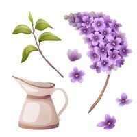 elegant lila Ast mit retro Vase, trennen lila Blumen und Grün Blätter Illustration einstellen im violett Farben zum Jahrgang und Frühling Drucke. detailliert realistisch und Karikatur Blumen- Elemente vektor