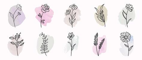 minimal botanisch Hand Zeichnung Design zum Logo und Hochzeit Einladung. Blumen- Linie Kunst. Blume und Blätter auf Aquarell Hintergrund Design Sammlung zum Blumensträuße Dekoration, Verpackung, Branding. vektor