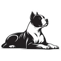 amerikanisch Staffordshire Terrier majestätisch Pose Illustration im schwarz und Weiß vektor