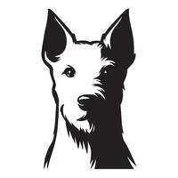 ein zuversichtlich Westen Hochland Weiß Terrier Hund Gesicht Illustration im schwarz und Weiß vektor