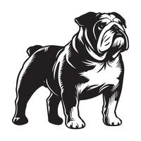 Ruhe Englisch Bulldogge Illustration im schwarz und Weiß vektor