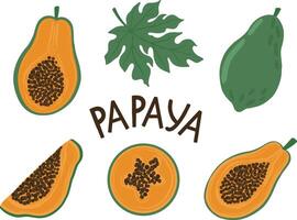 ein einstellen von Papaya und geschnitten Papaya Stücke ,ganz, Hälften, Scheiben, hervorgehoben auf ein Weiß Hintergrund im ein Karikatur Stil. Illustration. vektor