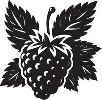 Brombeeren, Obst Silhouette, schwarz Farbe Silhouette vektor