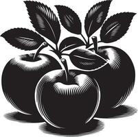 Krabbe Äpfel, Obst Silhouette, schwarz Farbe Silhouette vektor