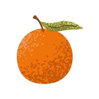 Hand gezeichnet Orange mit Texturen. Konzept von gesund Lebensstil. natürlich saftig Sommer- Zitrusfrüchte Frucht. eben Illustration isoliert auf Weiß Hintergrund. vektor