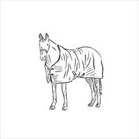ein Linie gezeichnet Pferd tragen ein Pferd Decke. gezeichnet durch Hand vektor