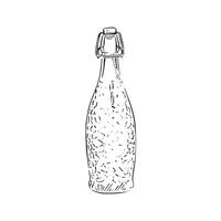 ein Linie gezeichnet schwarz und Weiß Illustration von ein Glas Getränke Flasche. schattiert mit Linien und gezeichnet im ein skizzenhaft Stil. vektor