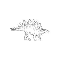 ein Linie gezeichnet Illustration von ein Stegosaurus. Hand gezeichnet im schwarz und Weiß und schattiert mit Linien. ein einfach skizzenhaft Stil Illustration vektor