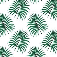 Muster von tropisch und Palme Blätter. Silhouetten Grün Geäst, Blätter im minimalistisch eben Stil. exotisch Sommer- Hintergrund mit Blätter auf Weiß Hintergrund. drucken zum Geschenk Verpackung, Stoff, Textil- vektor