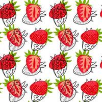 mönster av hela jordgubbar och deras nedskärningar med en kontur är ändrad. de ljus röd Färg av färsk bär med grön löv. textur för friskhet, Färg och naturlig skönhet för några design projekt vektor