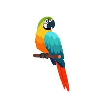 flerfärgad papegoja i platt stil. färgrik exotisk fågel på en vit bakgrund. en tropisk papegoja sitter på en abborre. vektor