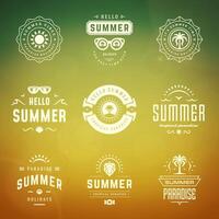 Sommer- Ferien Etiketten und Abzeichen retro Typografie Design Satz. vektor