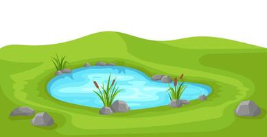 Teich auf Grün Rasen mit Schilf vektor