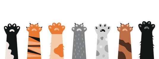 uppsättning av katter Tass tecknad serie illustration. fot av inhemsk anima vektor