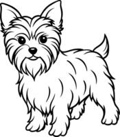 Handzeichnung Hund Linie Kunst, Yorkshire Terrier Rasse vektor